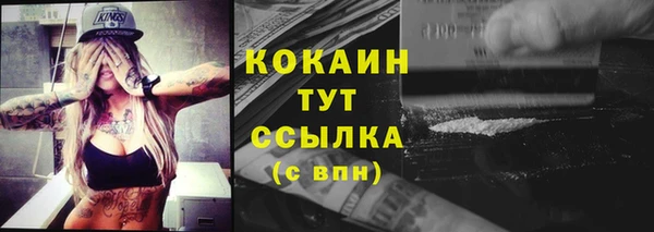 хмурый Нея