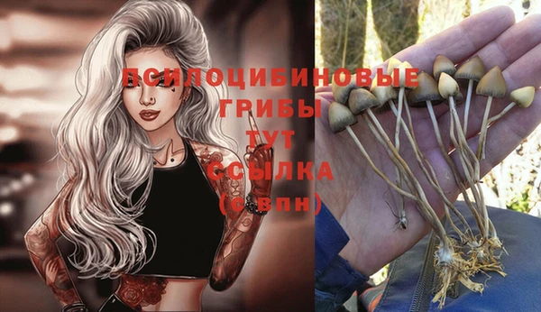 гашиш Баксан