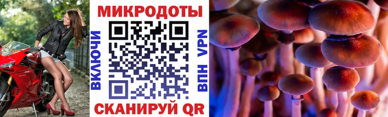 Галлюциногенные грибы Magic Shrooms  darknet как зайти  Афипский 